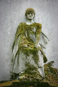 Statue covered with moss Stock Photos