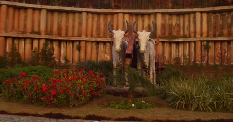 Statue of cows with cart Stock Footage 133002823