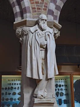 Statue of Darwin Stock Photos