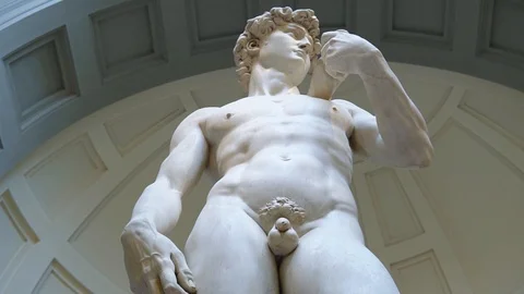 Statue of David Stock Footage 120262130