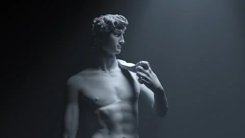 Statue of David Stock Footage 314940200