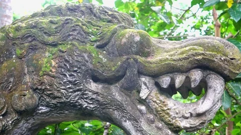Statue of dragon  in Bali Video stock 109558841