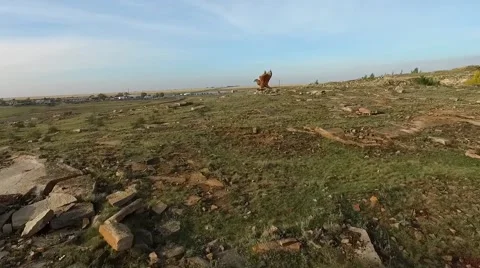 Statue of an eagle, aero video Stock Footage 68346119