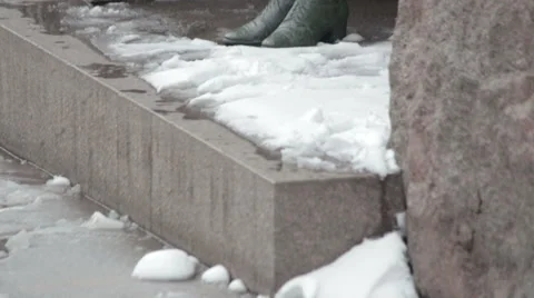 Statue of First Lady Eleanor Roosevelt. Stock Footage 49861373