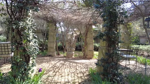 Statue 库存影片 157097906