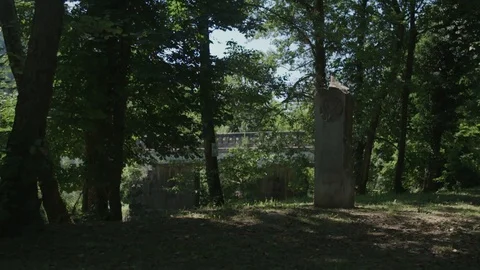 Statue with forrest and bridge in background Vídeo Stock 89531591