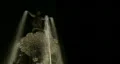 Statue Fountain At Night HD Footage