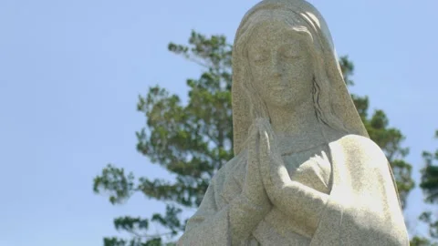 Statue Garden Close Up Stock Footage 169068914