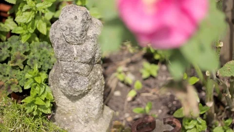 Statue In Garden With Flowers Stock Footage 127032043