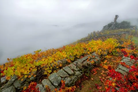 Statue of a Grape Harvester on a Vineyard Stock Photos