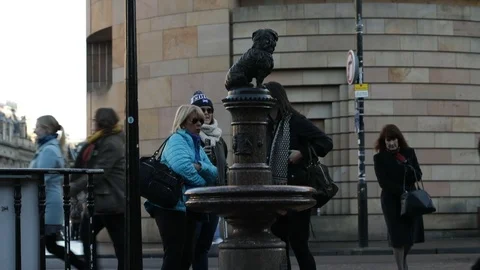 Statue of Greyfriar's Bobby on George IV bridge in Edinburgh, Scotland Stock Footage 98975695