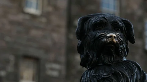 Statue of Greyfriar's Bobby on George IV bridge in Edinburgh, Scotland Stock Footage 98975774