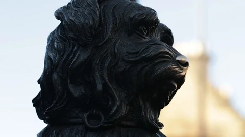 Statue of Greyfriar's Bobby on George IV bridge in Edinburgh, Scotland Stock Footage 98976633