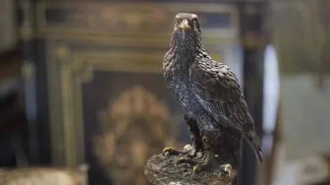 Statue of a Hawk Stock Footage 87969315