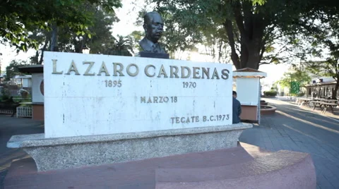 Statue Head Stock Footage 47394020