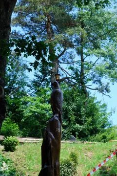 Statue hidden in a tree Stock Photos