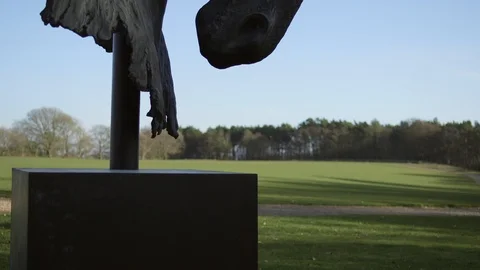 Statue of a horse in a field Stock Footage 127515519