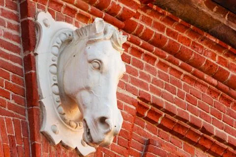 Statue of a horse Stock Photos