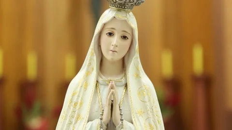 Statue of the image of Our Lady of Fatima Stock Footage 193161177