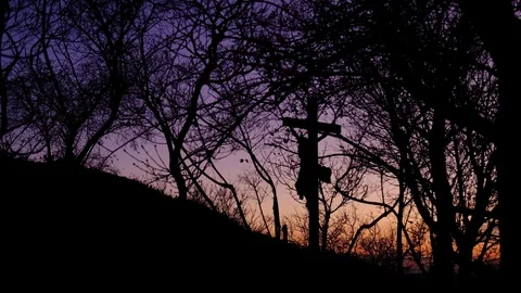 Statue of Jesus Christ Seen Through Trees at Sunset Stock Footage 121376245