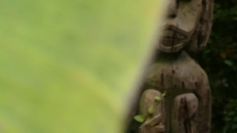 Statue jungle 1 Video stock 97575417