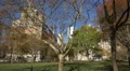 The Statue of Liberty- Ellis Island Foundation seen behind the trees 4k or 4k+ Resolution