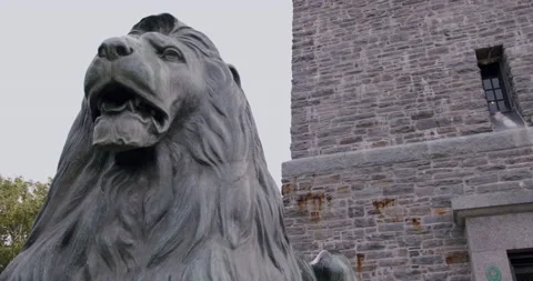Statue of Lion at Dingle Park Halifax, Nova Scotia Stock Footage 202013677