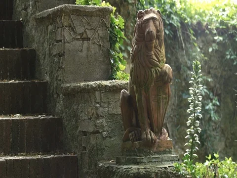 Statue of lion in the old park Stock Footage 74687238