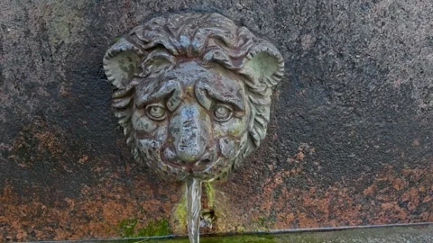 A statue of a lion's head on a wall Stock Footage 346185041