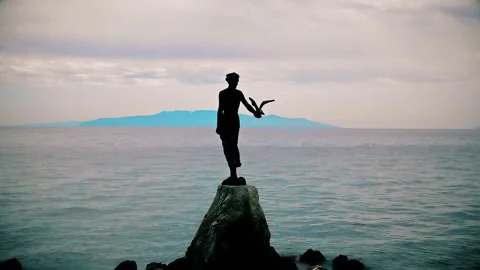 The statue of Maiden with the seagull. Video stock 152956734