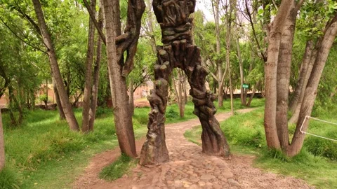 Statue of the marvel character "Groot" near Cusco, Peru 스톡 동영상 288166772