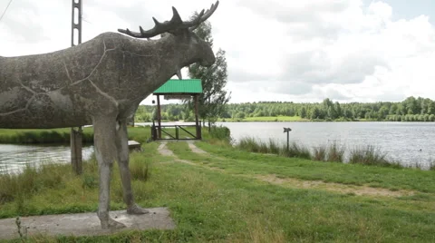 Statue of a moose at the lake. Stock Footage 53850710