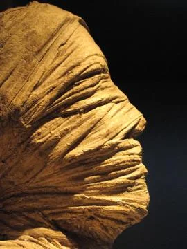Statue of a mummy Stock Photos