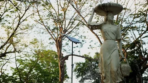 Statue of park tree 4k 스톡 동영상 236988295