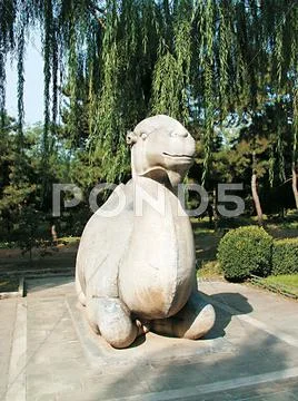 Statue Stock Photos