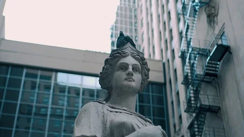 Statue Pigeon Stock Footage 95554873