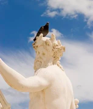 Statue with pigeon Stock Photos