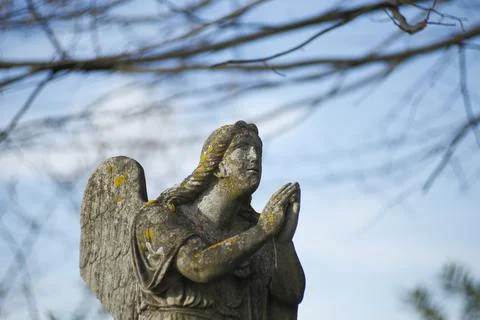 A statue of a praying angel Stock Photos