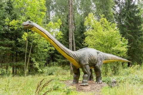 Statue of realistic Diplodocus dinosaur Statue of realistic Diplodocus din... Stock Photos
