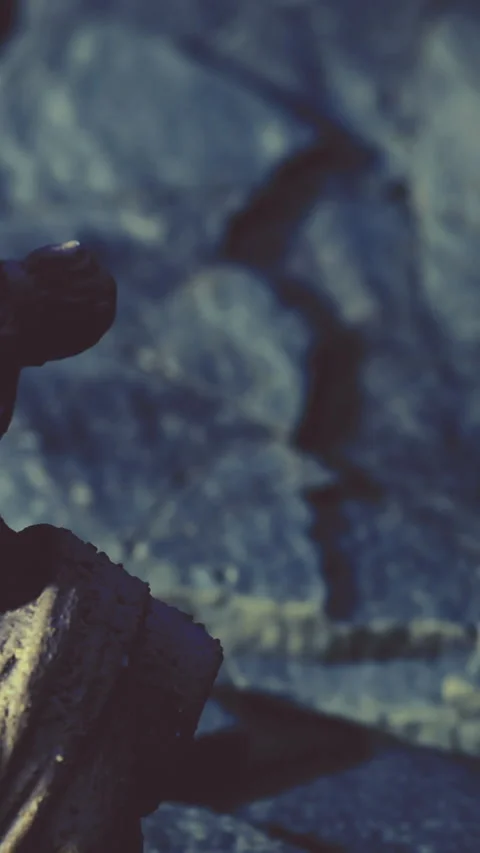 Statue on rough surface with visible texture during daylight hours Stock Footage 334183449