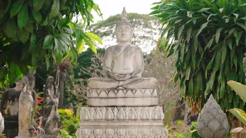 Statue of seated Buddha sets among exotic plants and trees 스톡 동영상 303684464