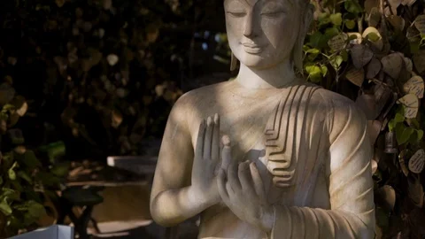 Statue of a seated Buddha by a tree on a sunny day Stock Footage 123488934