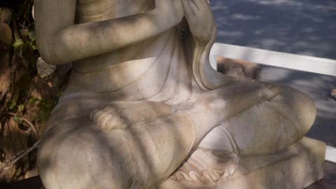 Statue of a seated Buddha by a tree on a sunny day Stock Footage 123489446