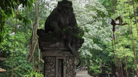 Statue of sitting monkey at Monkey Forest. Ubud, Bali, Indonesia. 15 March 2024 Stock Footage 271565667