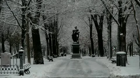 Statue in the Snow Stock-Footage 17905069