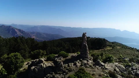 Statue standing at the edge of a forest Video stock 133900584