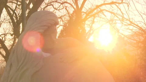 Statue in Sunset Sunlight Stock Footage 247574284