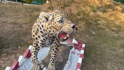 Statue of tiger in the zoo Stock Footage 327384533