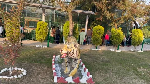 Statue of tiger in the zoo Stock Footage 327384759