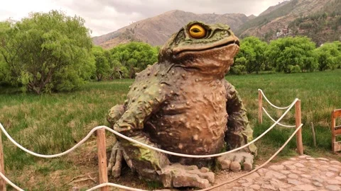 Statue of a toad in a park near Cusco, Peru Vidéo 288167326